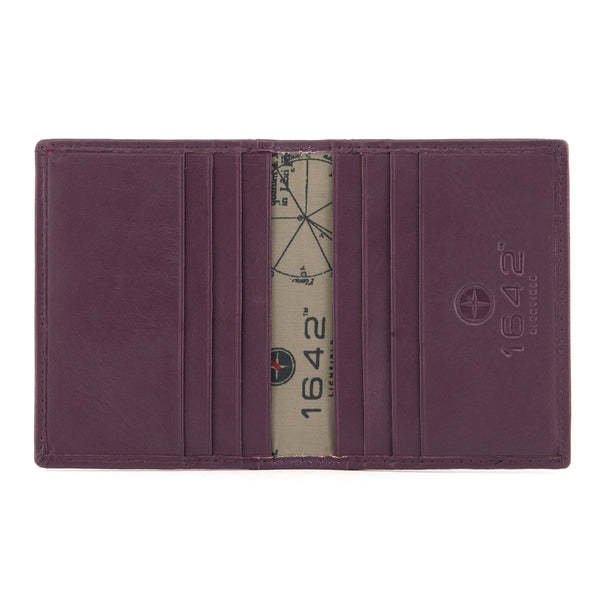 5017 17 - Two Fold Leather Credit Card Holder