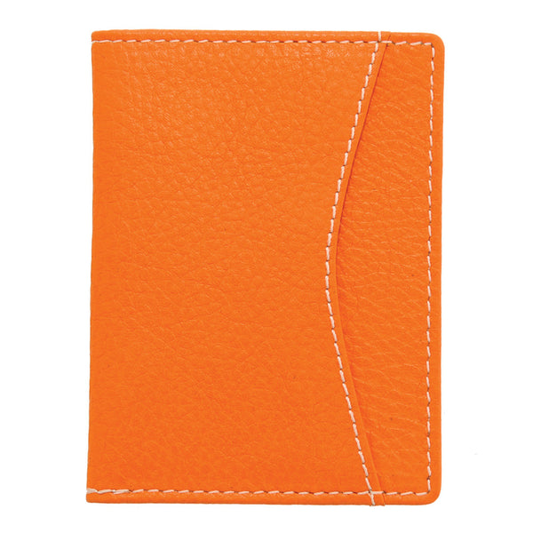 5307 41 - Leather Travel Pass Holder