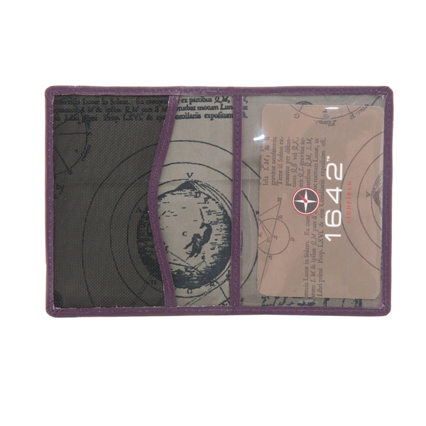 5307 17 - Leather Travel Pass Holder